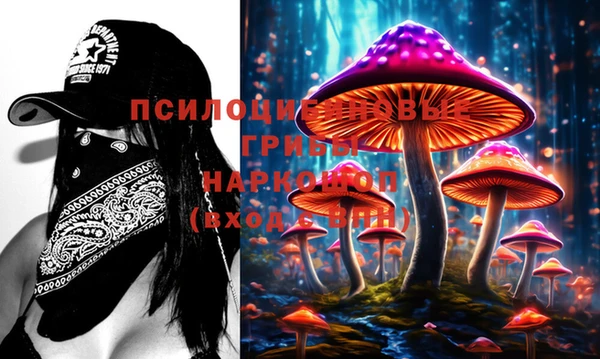 хмурый Бронницы