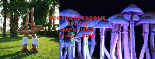 герыч Бородино