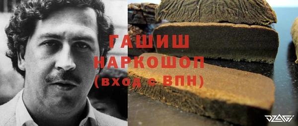 герыч Бородино