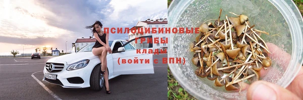 хмурый Бронницы