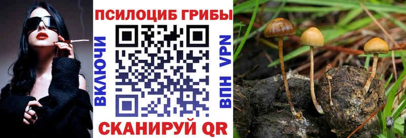 Галлюциногенные грибы GOLDEN TEACHER  Новопавловск 